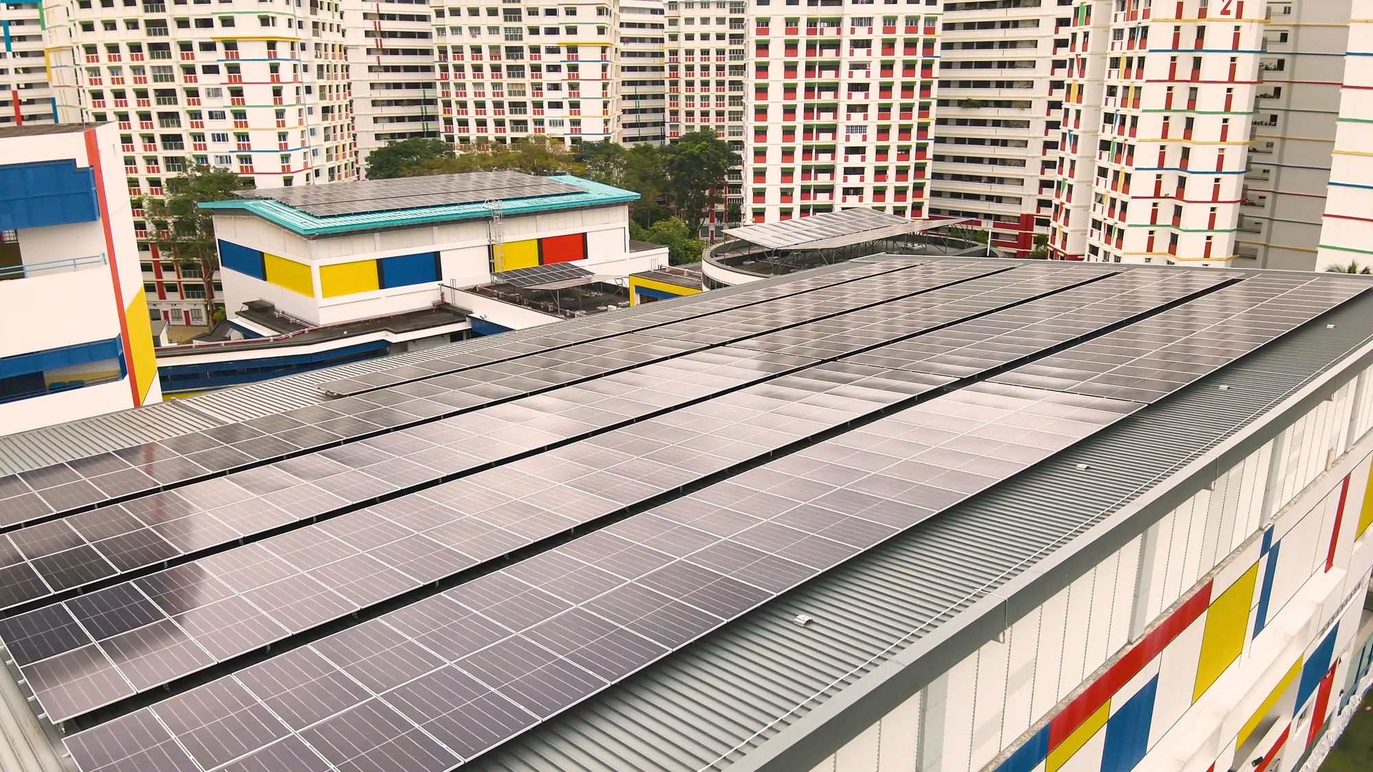 Sembawang School, photo 12