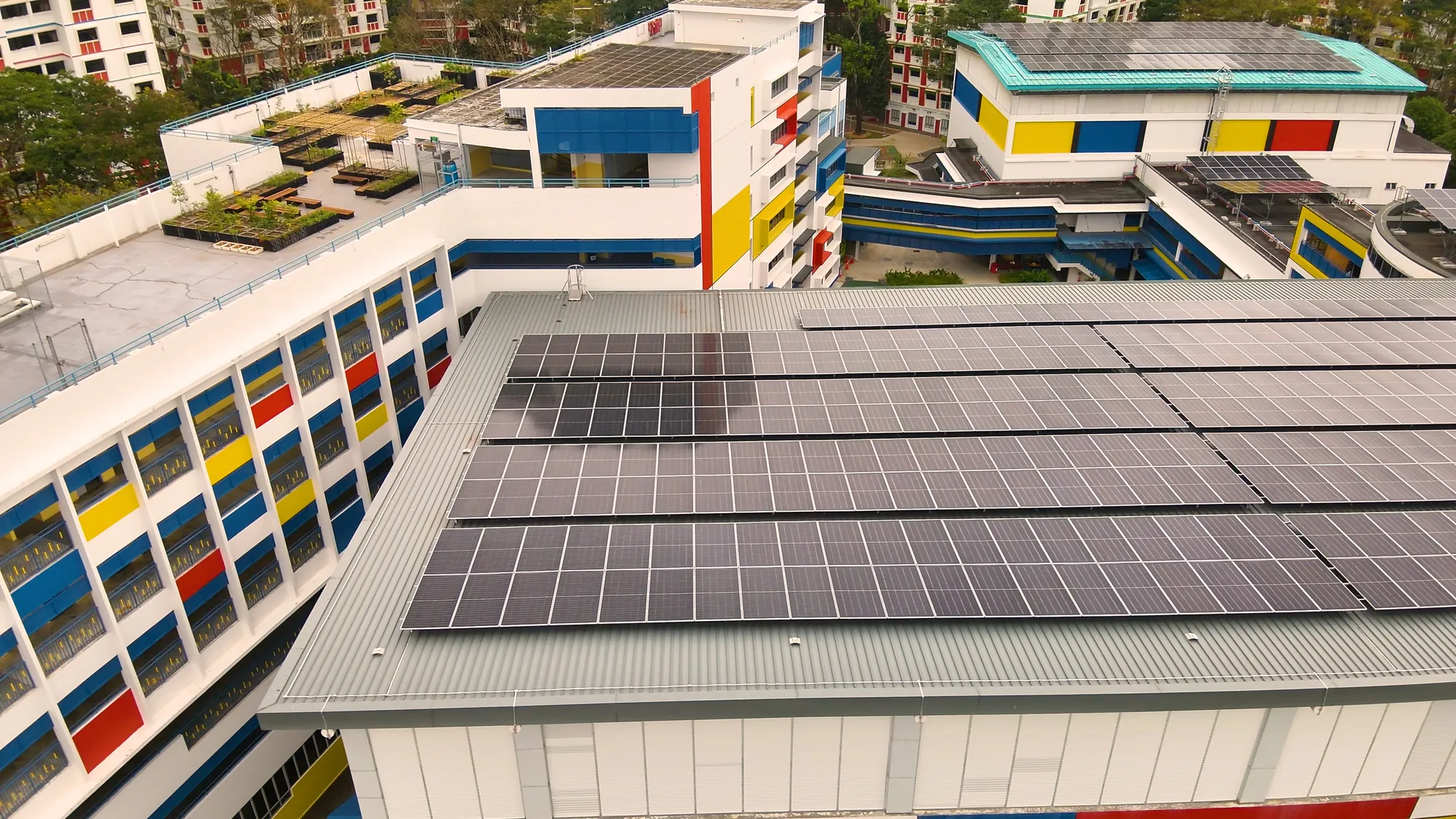 Sembawang School, photo 15